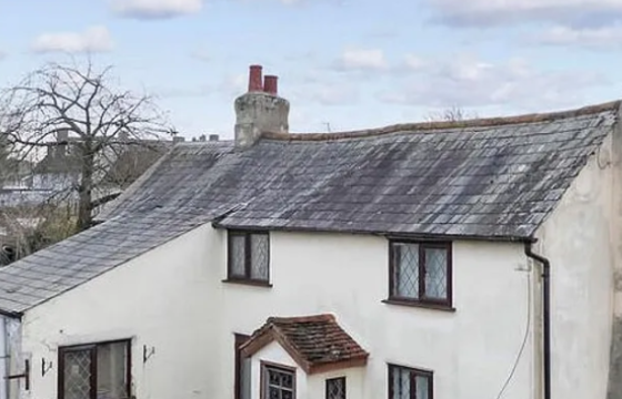 HOUSE IN NEED OF MODERNISATION in Dunmow photo