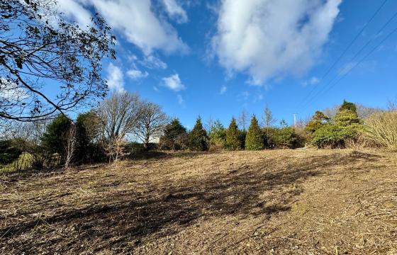 Plot with PP for sale in Reynoldston photo