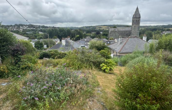 Land for sale in Tavistock photo