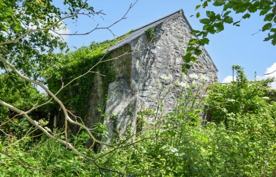 Development opportunity in ST DAY photo