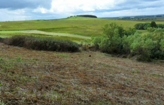 Plot for sale in Tarbrax photo