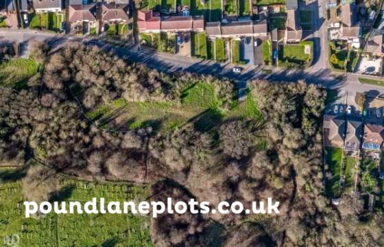 Custom Build for sale in Steeple View photo
