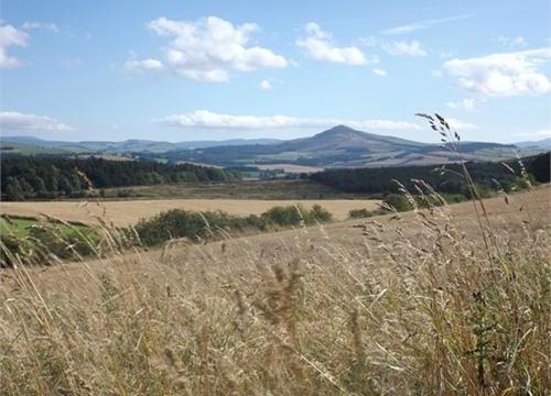 Land for sale in Jedburgh, Scottish Borders photo