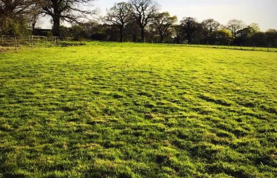 Multiple Plot for sale in Anthill Common photo