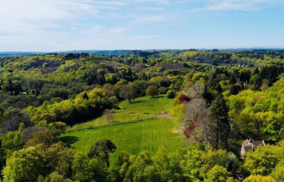 Land for sale in Haslemere photo