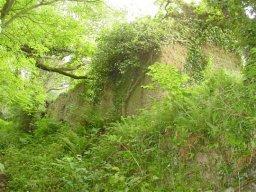Investment for sale in Launcells photo