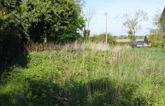 Land for sale in Horham photo