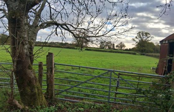 Land for sale in Dorking photo