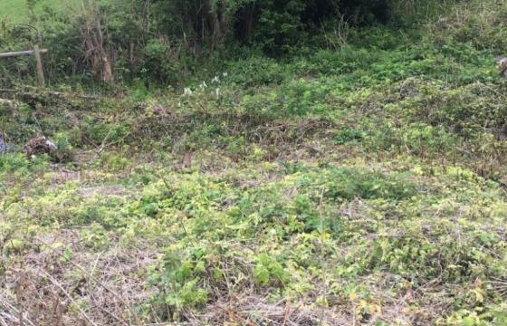 Development Plot for sale in Powys photo