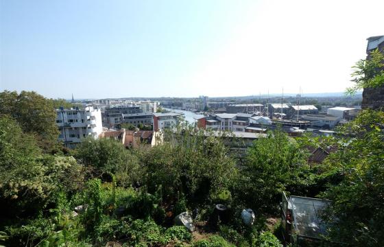 Land for sale in Clifton photo