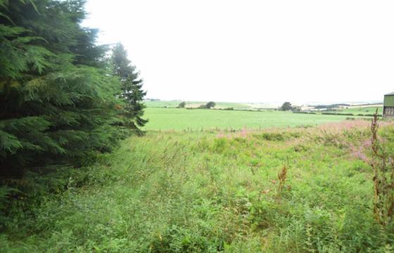 Building plot for sale in Quothquan photo