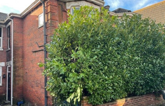 Requires a program of repair and full refurbishment in southampton photo
