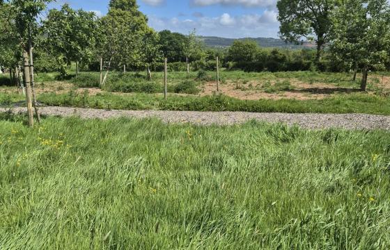 Plot with PP for sale in Taunton photo