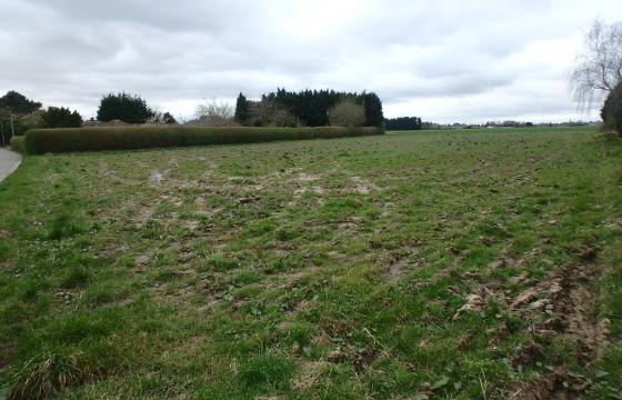 Land for sale in Whaplode photo