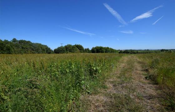 Land for sale in Whitton Village photo