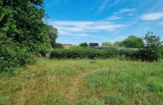 Land - No PP for sale in Worton photo
