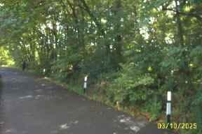 Land - No PP for sale in Shillinglee photo