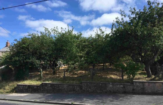 Ref: 558. Land for sale in Tedburn St Mary photo