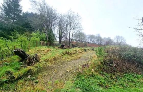Development plot in Senghenydd photo