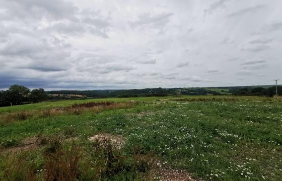 Ref 708. Land for sale in CHULMLEIGH photo