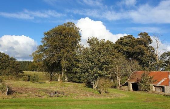 Under Offer, Land for sale in Maud photo