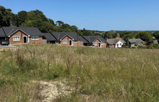 Land With Planning in Freshwater photo