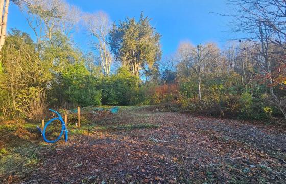 Land for sale in Taunton photo