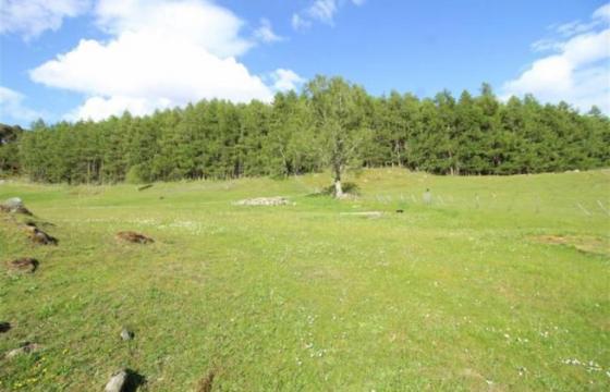 Under Offer, Land for sale in Invergarry, Scotland photo