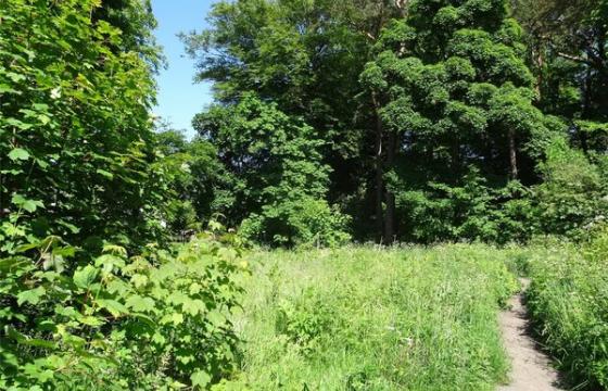 Development opportunity in Aberdeen photo