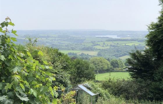 Renovation for sale in St Ann's Chapel photo