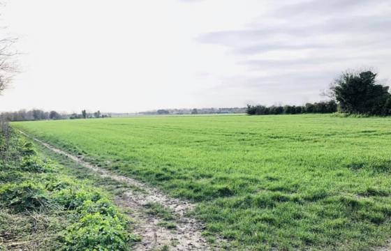 Plot with PP for sale in St Peter's photo