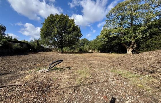 BUILDING PLOT in Southminster photo
