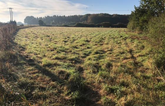 Land for sale in Norwich photo
