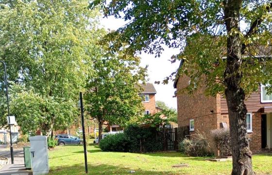 Freehold development opportunity in Perivale photo