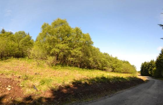 Land for sale in Dervaig photo
