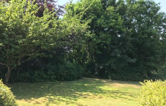 Land for sale in Wadebridge photo