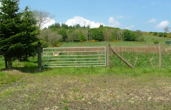 Development opportunity in Drum photo