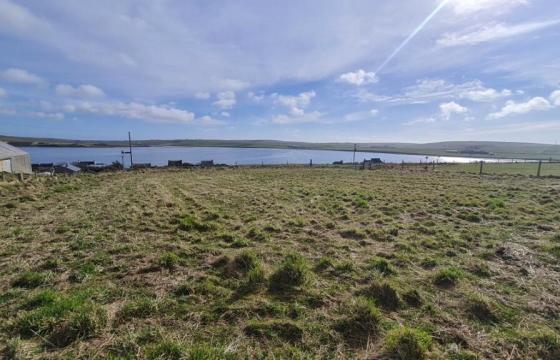 Land for sale in Orkney photo