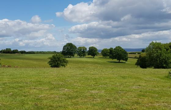 Plot with PP for sale in Garway photo