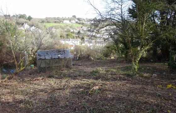 Development potential in Helston photo