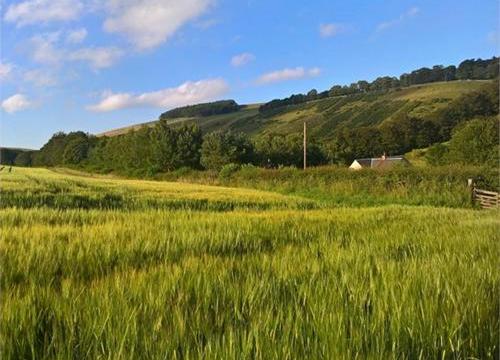 Land for sale in Lauder, Scottish Borders photo