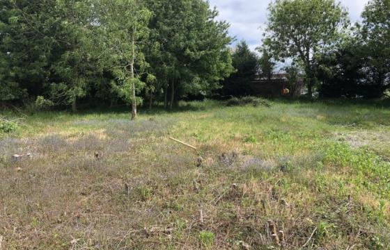 Land for sale in Norwich photo