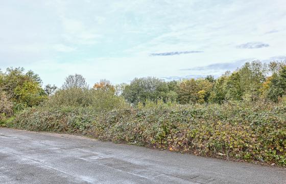 Plot with PP for sale in Sutton photo
