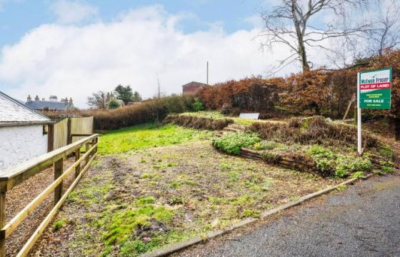 Land for sale in Biggar photo