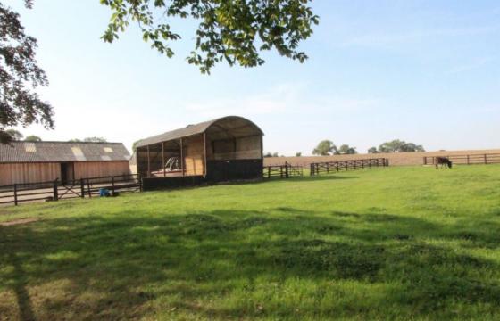 Plot with PP for sale in Gainford photo