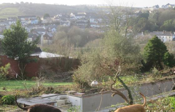 Plot with PP for sale in Penryn photo