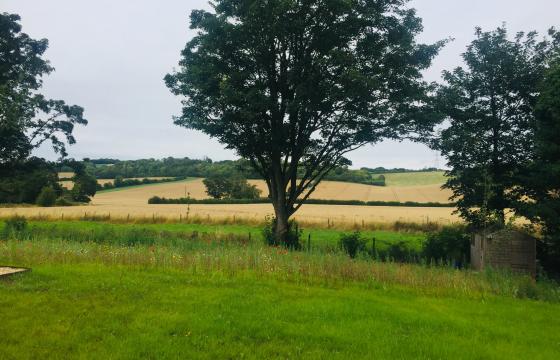 Plot with PP for sale in Lilley photo