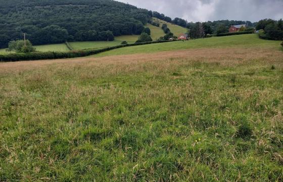 Land for sale in Caersws photo
