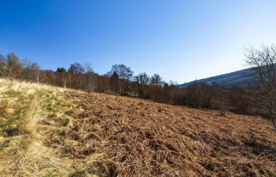 Building Plot in Drumnadrochit photo