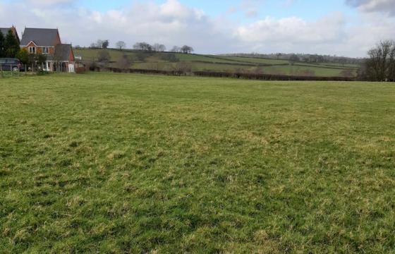 Land for sale in Newtown photo
